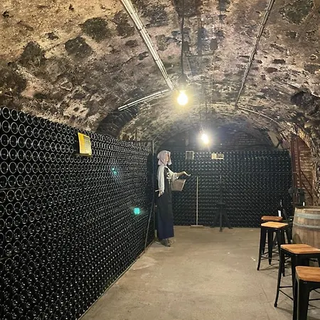Champagne Philippe Martin 4*
