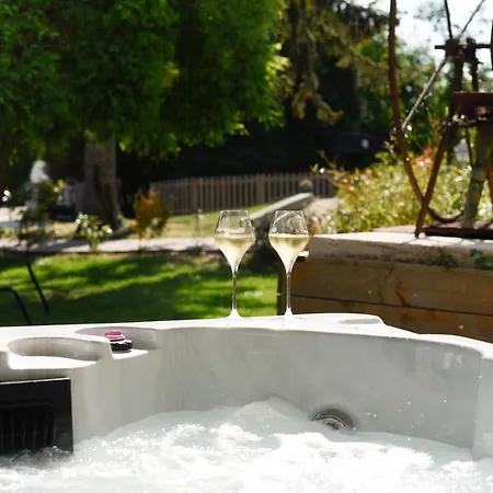 Champagne Philippe Martin Bed & Breakfast