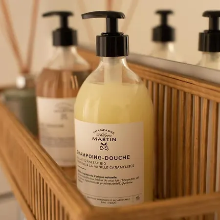 Champagne Philippe Martin 4*