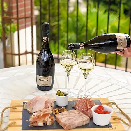 Champagne Philippe Martin 住宿加早餐酒店