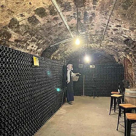 Champagne Philippe Martin Cumieres