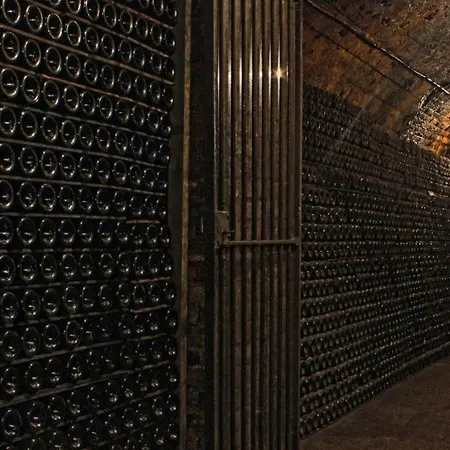 Champagne Philippe Martin 4*