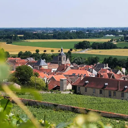 Champagne Philippe Martin Bed and Breakfast