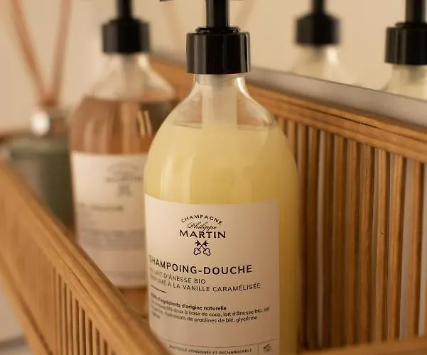 Champagne Philippe Martin 4*